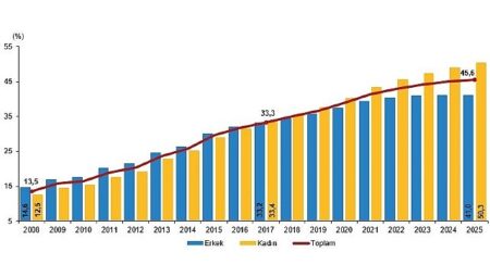 Ulusal Eğitim İstatistikleri, 2025